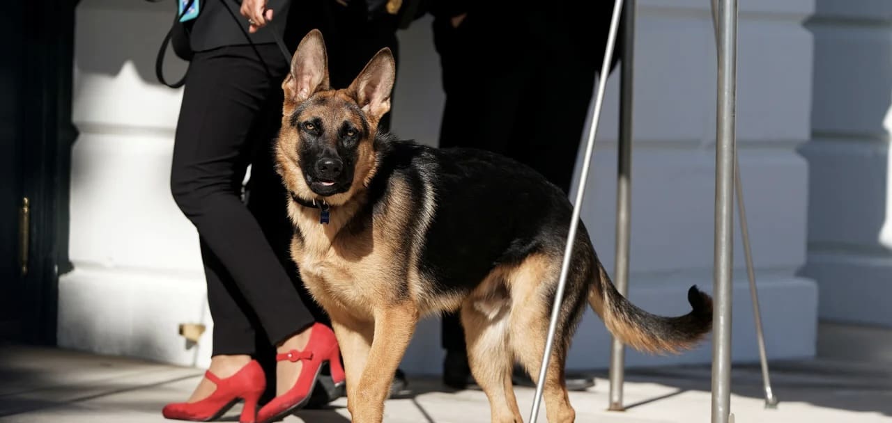 Biden’s Dog Commander Bites Another Secret Service Officer in 11th Incident