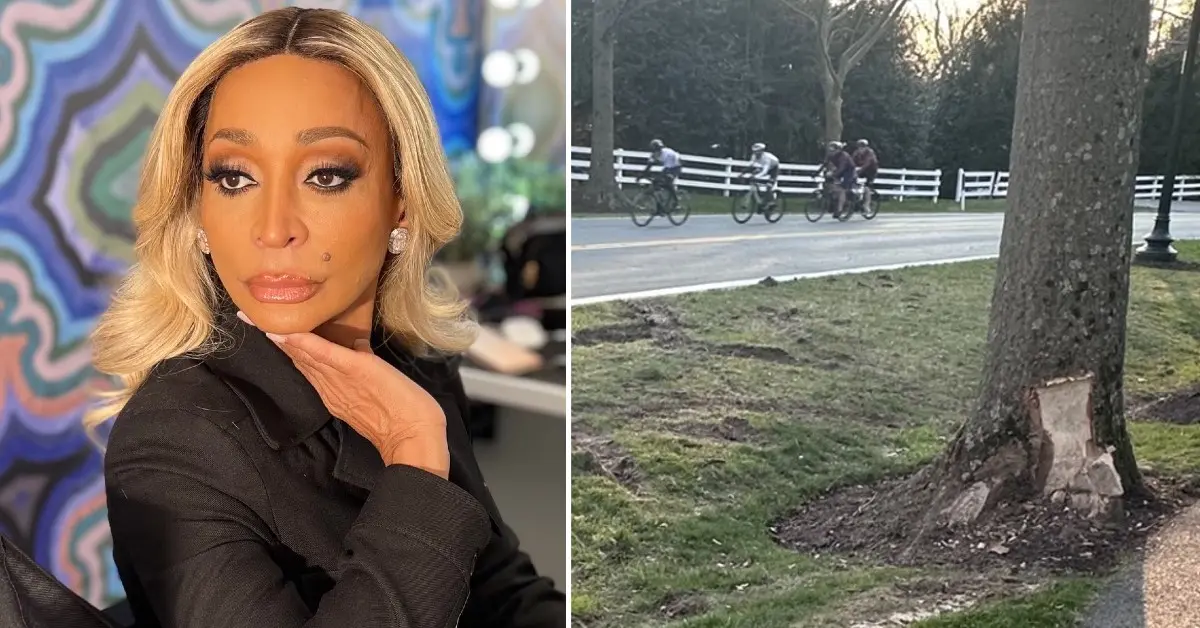 ‘RHOP’ Star Karen Huger’s Trail Of Destruction Following DUI Car Crash [Video]