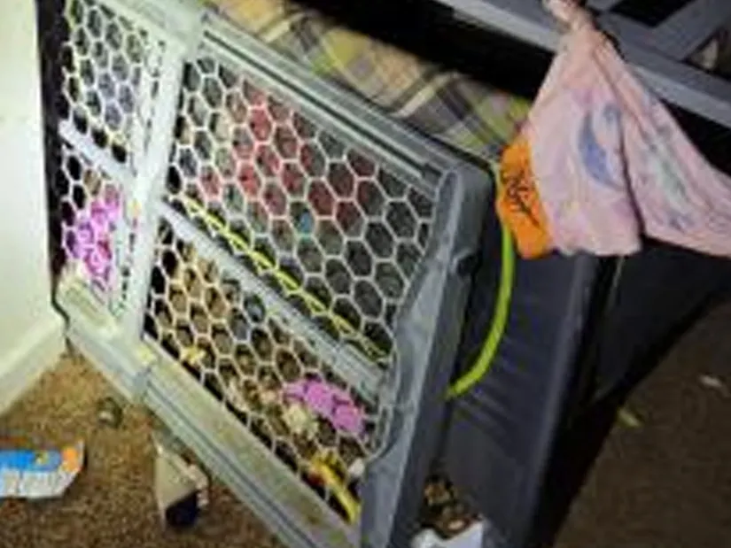 Say What Now? Mom Kept Child In ‘Makeshift Cage’ Surrounded by Chicken Wing Bones
