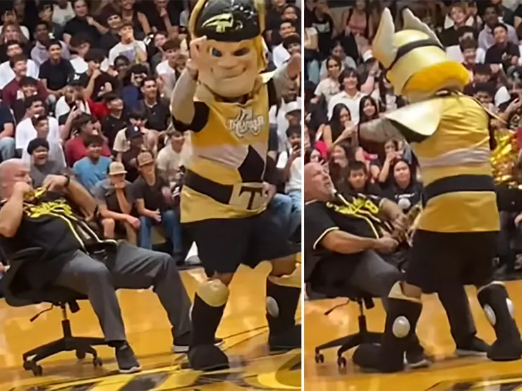 Principal Who Went Viral After Dancing With School Mascot During Rally Reportedly Resigns