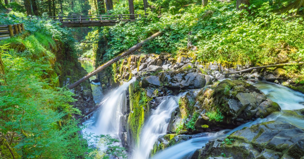 Lovers Lane Loop (Olympic Peninsula)