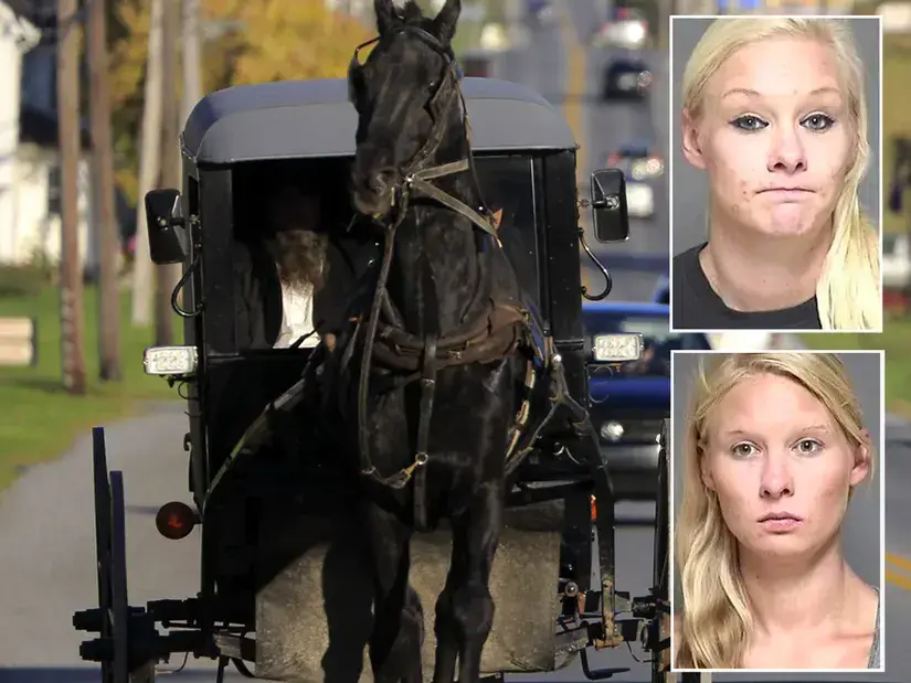 Say What Now? Woman Comes Clean About Alleged Twin Swap After Amish Buggy Crash That Killed 2 Children